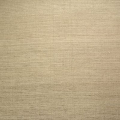 DWC Amsterdam wall textile silk fabric wallpaper