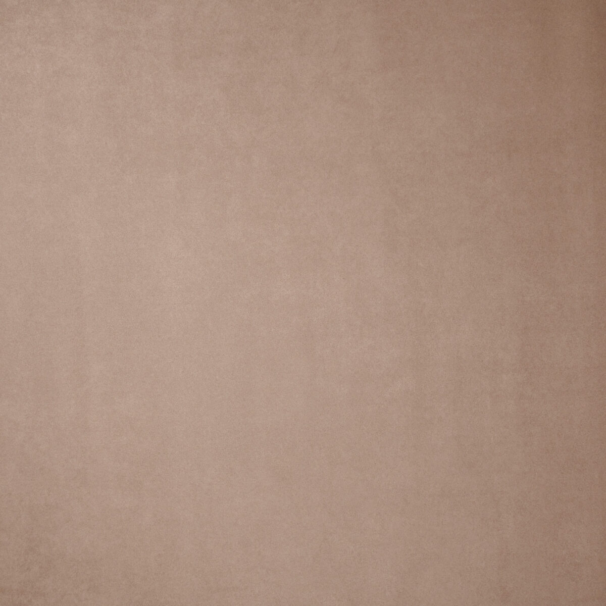 The Originals Collection - Dutch Walltextile Co.