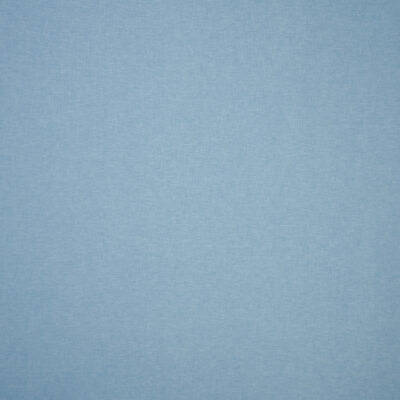 Salvia - salvia 41